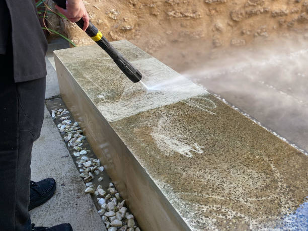 Best Pressure Washing Driveway  in Somerset, MD